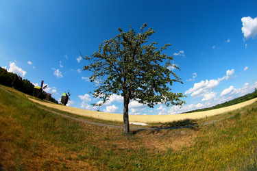 Similar image 1094174