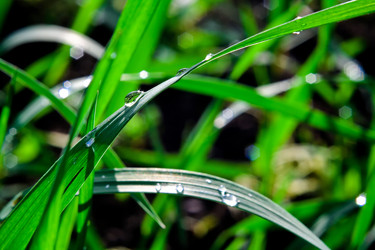 Similar image 1094187