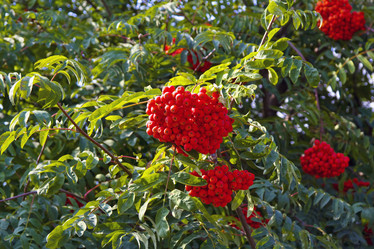 Similar image 1094197