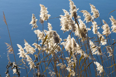 Similar image 1094199