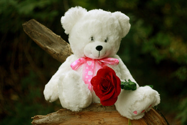 Similar image 1094205