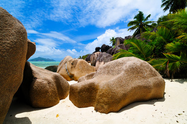 Similar image 1095102