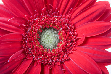 Similar image 1095154