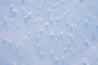 Similar image 1095156