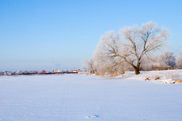 Similar image 1095157