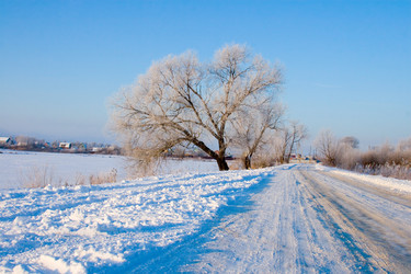 Similar image 1095158