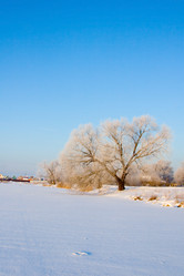 Similar image 1095155