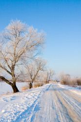 Similar image 1095159