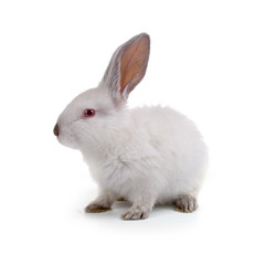 Similar image 1095160