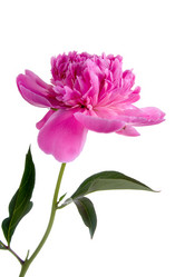 Similar image 1095166