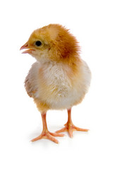 Similar image 1095170