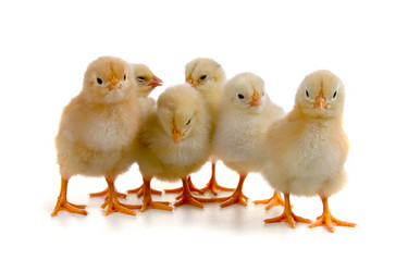 Similar image 1095176