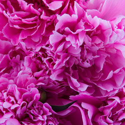 Similar image 1095179