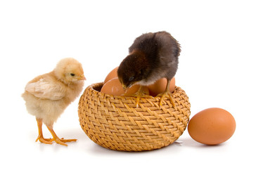 Similar image 1095175