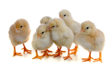 Similar image 1095177