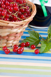 Similar image 1095192