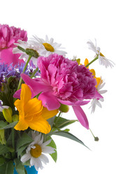 Similar image 1095195