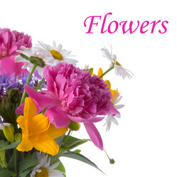 Similar image 1095196