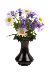 Similar image 1095199