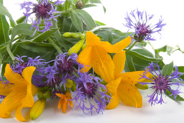 Similar image 1095205