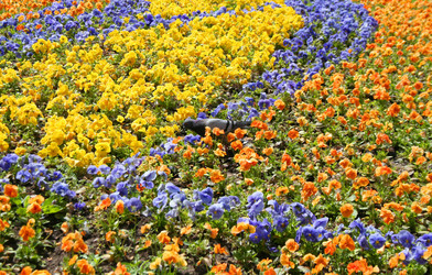 Similar image 1095207