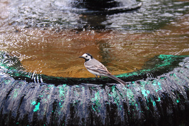 Similar image 1095211