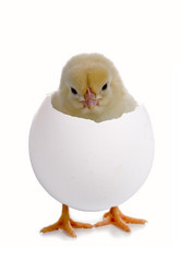 Similar image 1095217