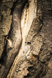 Similar image 1095441