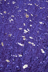 Similar image 1095460