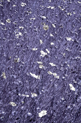 Similar image 1095459