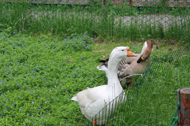 Similar image 1095470