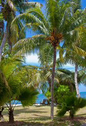 Similar image 1095468