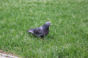 Similar image 1095471