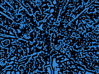 Similar image 1095479