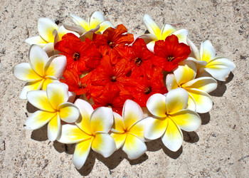 Similar image 1095481