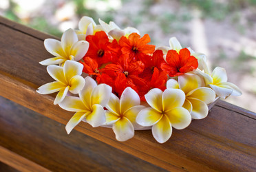 Similar image 1095482