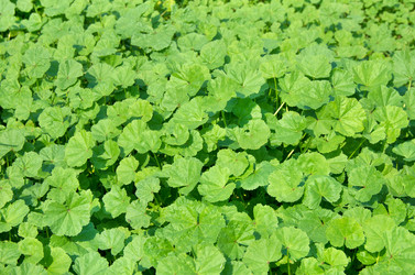 Similar image 1095503