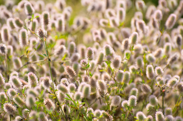 Similar image 1095505