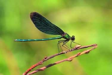 Similar image 1095501