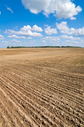 Similar image 1095508