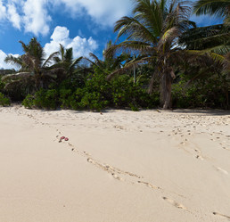 Similar image 1095525