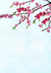 Similar image 1095538