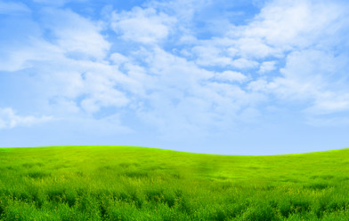 Similar image 1095560