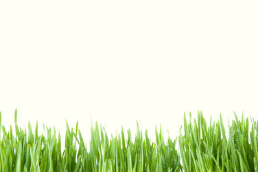 Similar image 1095615