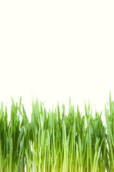 Similar image 1095629