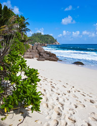 Similar image 1095645