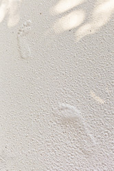 Similar image 1095646