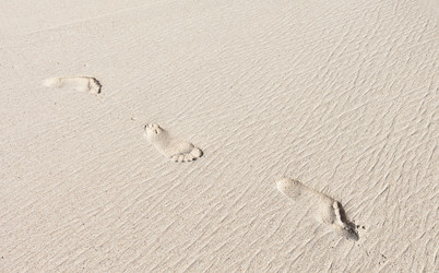 Similar image 1095683