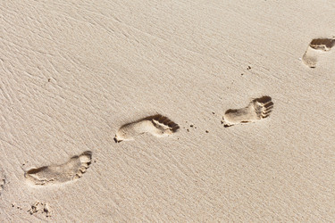 Similar image 1095684