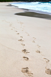 Similar image 1095687